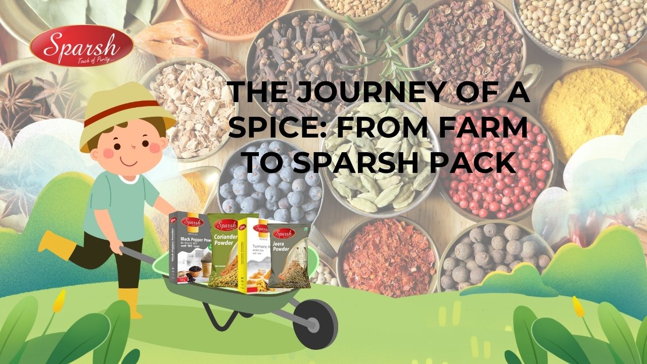 The Journey of a Spice: From Farm to Sparsh Pack